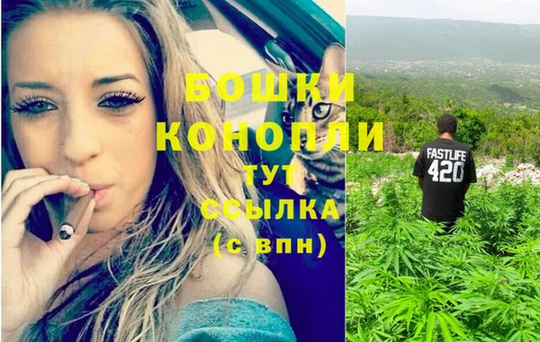 мяу мяу мука Болхов