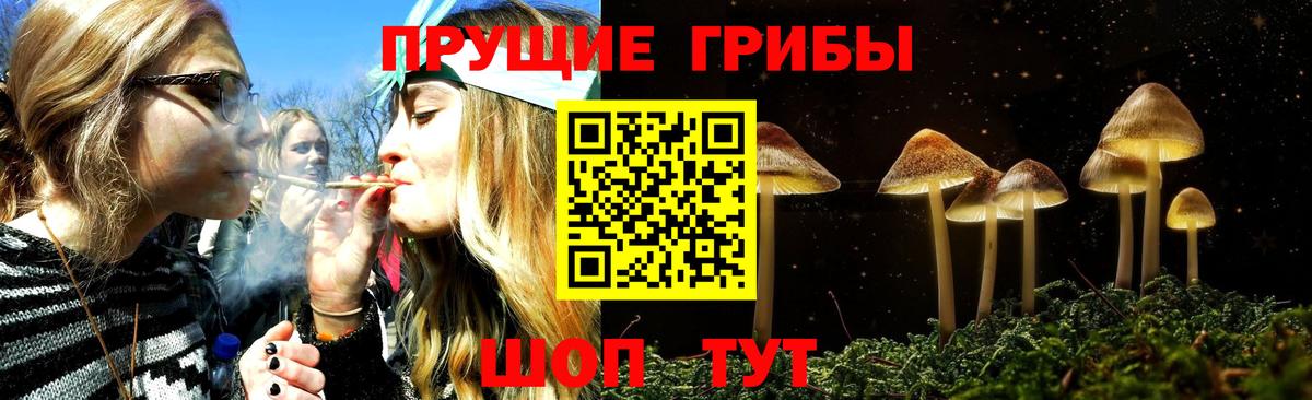 Псилоцибиновые грибы мухоморы  Вход с VPN  Ревда 