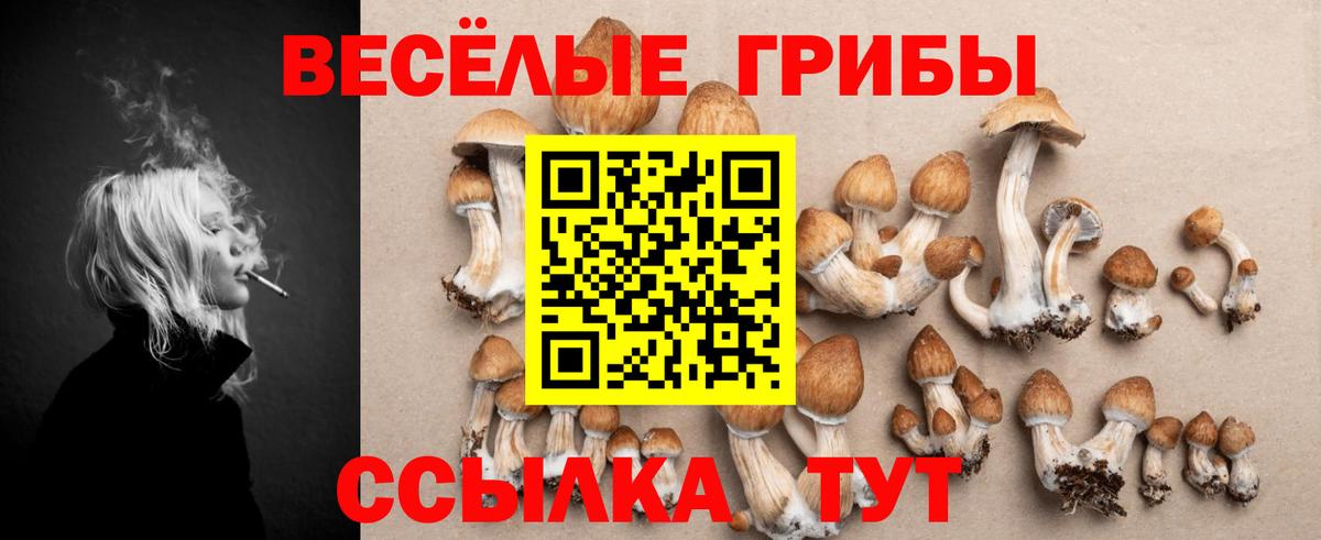 Псилоцибиновые грибы ЛСД Ревда
